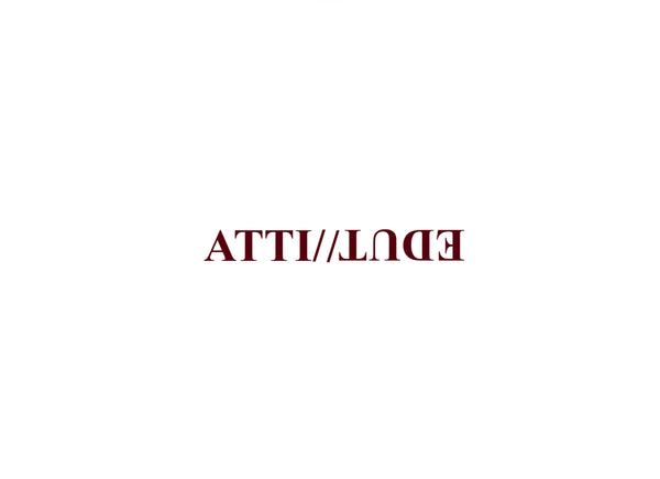 ATTITUDE